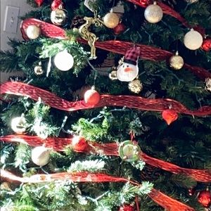 Meet your Posher, Cassandra